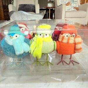 Holiday Winter Birds new in box set of 6